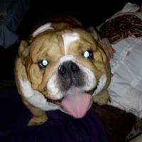 La chuchefa Mercedes Macías (@chuchefa) 's Twitter Profile Photo