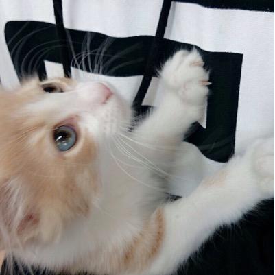 HphpWp's profile picture. UVERworld