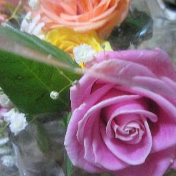 vansennu_aki's profile picture. 名古屋のライブハウスでシャンソンを歌っています。
2022年輸出入貿易家になりました。