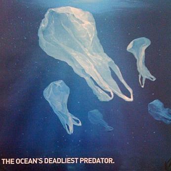 ♻️Ban the plastic bag Mount Pleasant, SC to protect our waters♻️