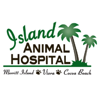 Island Animal Hospital(@IslandAnimal321) 's Twitter Profile Photo