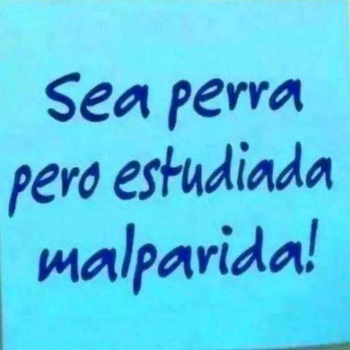 Amy_qaamii's profile picture. No me pidan explicaciones, las putas somos así.