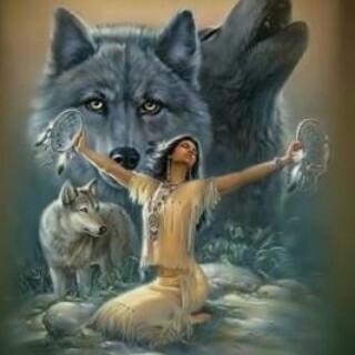 ThHelgaard's profile picture. 