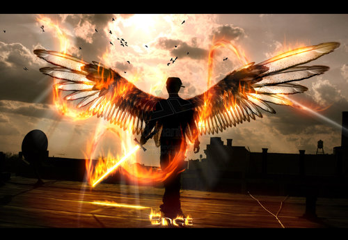 dwccyouth's profile picture. 
