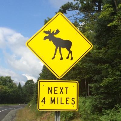 TODDman_2's profile picture. 