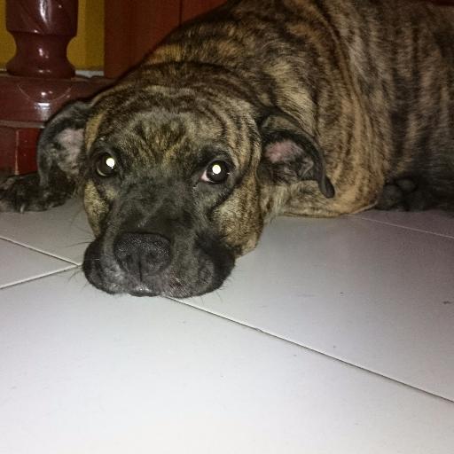 FidelFcv's profile picture. 