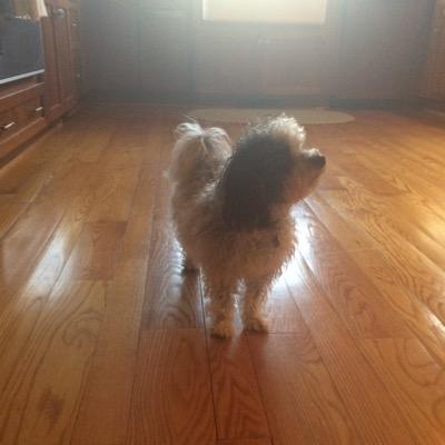 kristinwgee's profile picture. 