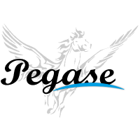 Création sites web (@pegase13) 's Twitter Profile