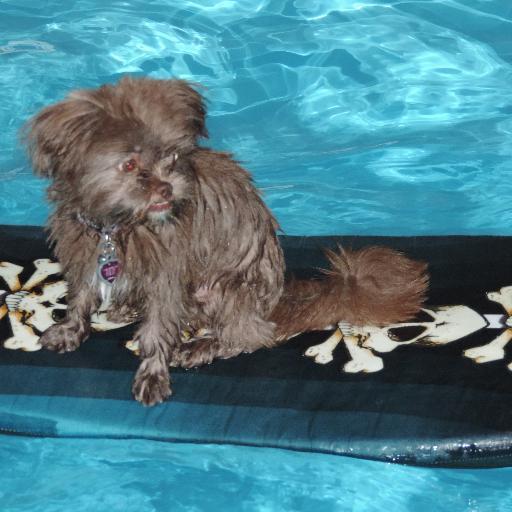 Two brats with ASD, they got it from their Mama.... I adore my pets. Enjoy digital scrapbooking and listening to music.