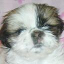 Sherry Posey - @Poseysm - Twitter