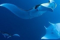 XantheRivett's profile picture. 