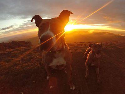 gafranco80's profile picture. ... The more i learn, the less i know!