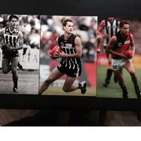 Gavin Wanganeen (@gavinwanganeen) 's Twitter Profile
