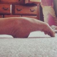 Dance Judge (@dancejudgeprobs) 's Twitter Profile Photo Dance Judge (@dancejudgeprobs) 's Twitter Profile Photo