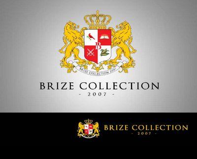 CollectionBrize's profile picture. Brize Collection customize sneakers and handmade jewerly unites the best of both worlds. This amazing jewelry has caught the eye by several celebrities with its