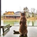 Hope Moon - @hopem758 - Twitter