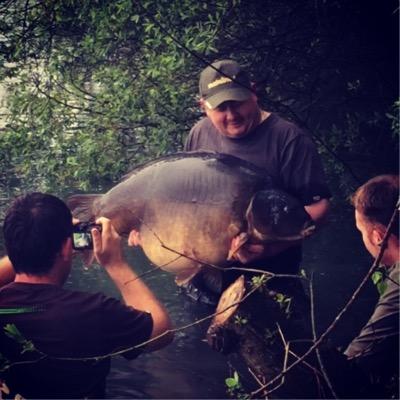 bigdarmitage's profile picture. 