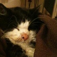 maxwell park (@maxwellpark) 's Twitter Profile