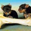 Deborah Paterson - @DPat09 - Twitter