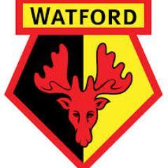 Follow for all of the latest Watford FC news and information