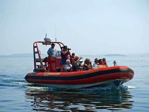 ZodiacTours_BC's profile picture. THE ULTIMATE PHOTO SAFARI-CANADA-Whale watching,wildlife,spectacular scenery 1.250.538.7188. depart from Salt Spring Marina. Pick ups-Galiano,Mayne,Pender