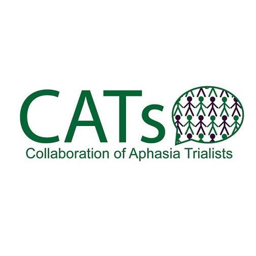 Aphasia Trialists Profile
