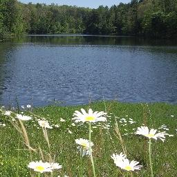 The Preserve's 70 acres of rolling hills, lake & 3 hiking trails provide excellent K-12 hands-on field trips and fun environmental education for the public.