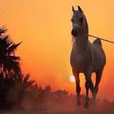 علي حمد اليامي (@0559032923g) Twitter