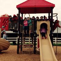 Lisa Bowman (@bowman2ndgrade) 's Twitter Profile Photo