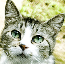 neko774's profile picture. iPhone, Python, PHP, ActionScript, JavaScript, HSP, DTM, ドット絵