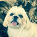 Debra French (@debbiefrench) Twitter profile photo Debra French (@debbiefrench) Twitter profile photo