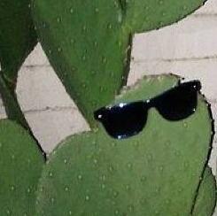 dryeyedragon's profile picture. if hearing is the only validation then most of my life isn't real - she/they, opinions are of my own