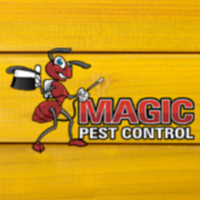 Magic Pest Control(@MagicPestCntrl) 's Twitter Profile Photo