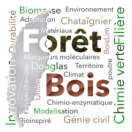 Chaire d'excellence de la Fondation Partenariale de L’Univiversité de Limoges, Ressources Forestières et Usages du Bois