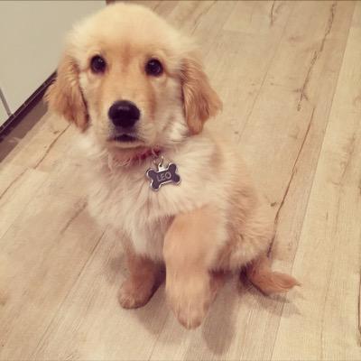 ScottColton's profile picture. Stanford Baseball Alum & Surfer