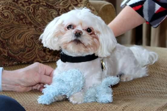 AbelJulieM's profile picture. Wife, Mother, Volunteer, Environmental Advocate, World Traveler, Bean counting Techy!