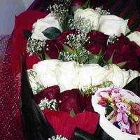 صمت المشاعر (@sssam9695) 's Twitter Profile