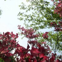 nwarren (@nwarren) 's Twitter Profile