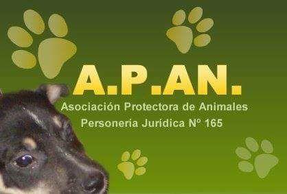 Twt Oficial de la Asociación Protectora de Animales de Salta - Activismo abolicionista en favor de todos los animales Proteccionismo Independiente - ARGENTINA
