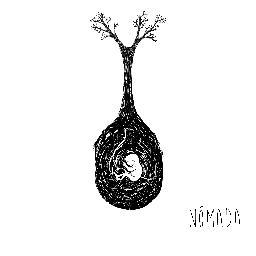 Somos una banda que busca mezclar los sonidos repartidos por el mundo. es un viaje a través del rock progresivo, metal alternativo y la fusión latinoamericana.