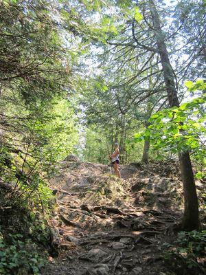 mrslauridsen's profile picture. math. wait what?