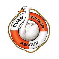 Cuan Wildlife Rescue(@CuanWildlife) 's Twitter Profile Photo