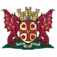 Carlisle CC 1XI (@carlislecc1xi) 's Twitter Profile