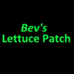 BevLettucePatch Profile Picture