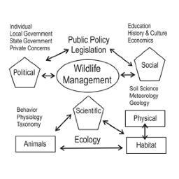 Tweets about Wildlife, Conflicts and Adaptive Management, Invasive Non-Native Species. Favs & Retweets do not indicate support or endorsement.