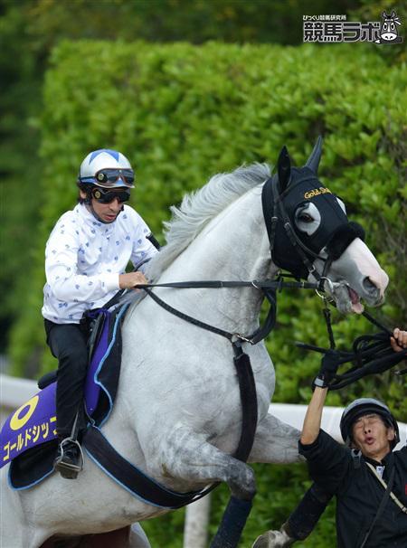 Fumi5TK4's profile picture. 岐阜