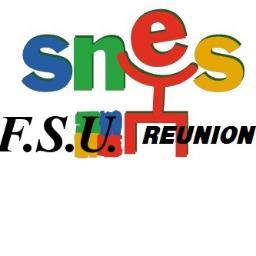 Snes-Fsu Réunion