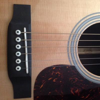 freerangehutt's profile picture. Used to be kept in a cage. Exscaped