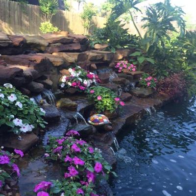 Expert source for all your pond, koi & water garden supplies. http://t.co/N6uDYxDOkE