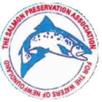 SPAWN (@spawnsalar) 's Twitter Profile